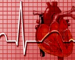 Broken heart syndrome affects many people Broken heart syndrome affects many people