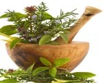 Chinese herbs and diabetes prevention Chinese herbs and diabetes prevention