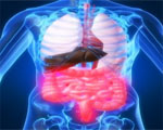 Rotating shifts affects the bowel