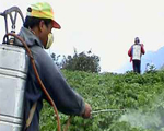 Pesticides linked to blood disorder