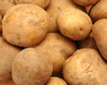 Protein-packed potato developed in India