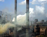 Metal pollution and Parkinson's disease