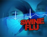 Swine flu scare returns, 12 die Swine flu scare returns, 12 die