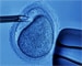 Better luck with IVF if a woman 'lets go'