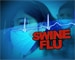 Swine flu scare returns, 12 die
