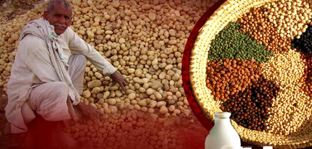 थोक मुद्रास्फीति (WPI) भी बढ़ी, जुलाई में 3.55 प्रतिशत पर पहुंची