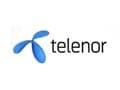 2G auction: Telenor wants 50 per cent cut in Mumbai licence fee