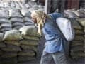 UltraTech Cement shares down on earnings