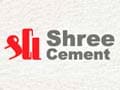 Shree Cement net profit rises 267 per cent to Rs 217 crore