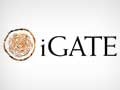 iGate names ex-Infosys Americas head as CEO