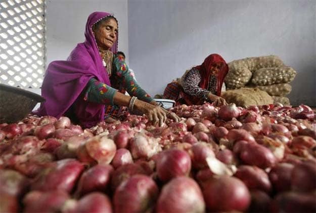 Delhi Government to Sell Onions at Rs 40 a kg From Monday