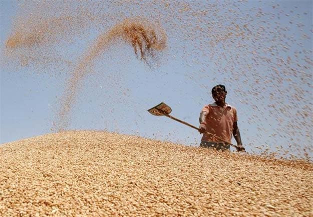 Government Increases Minimum Support Prices For Rabi Crops