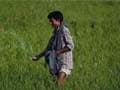 Climate change threatens India's economy: UN report