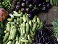 भारत में एक साल में 13,300 करोड़ रुपये के फलों, सब्जियों की बर्बादी