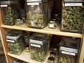 US to let banks do business with licensed marijuana shops