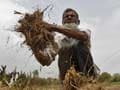 Budget 2016: Stress On Farmers, Poor As Government Preps For Poll Season