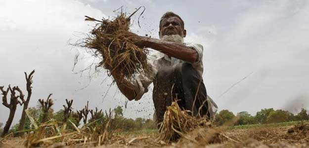 Unseasonal Rain, Hailstorm Destroy Crops In Haryana's Rohtak