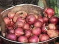 Onion Auctions in Nashik to Resume From June 18