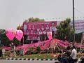 देश का 29वां राज्य बना तेलंगाना, गुलाबी रंग में रंगा हैदराबाद