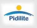 Pidilite Buys Ahmedabad-Based Blue Coat's Adhesive Unit for Rs 263 Crore