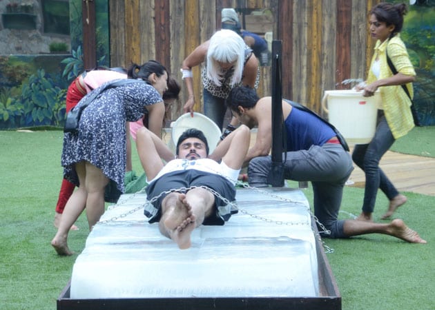 Bigg Boss 8: An Icy Challenge to Decide Aarya Babbar and Puneet Issar's Fate