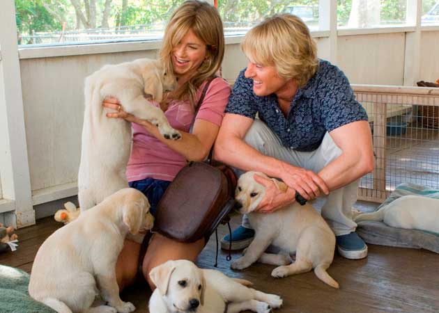 Marley and Me Sequel on TV Soon