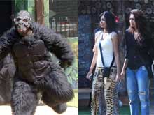 <i>Bigg Boss 8</i>: Gorillas? Bears? It's a Zoo in There