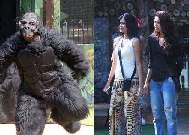 <i>Bigg Boss 8</i>: Gorillas? Bears? It's a Zoo in There