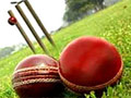 क्रिकेट मैदान पर एक और हादसा, गेंद लगने से अंपायर की मौत