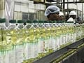 Vegetable Oil Imports Jump 23%, With Edible Oil Taking the lion's share: Report