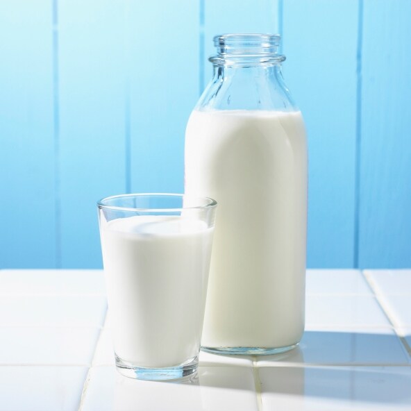 3 Best Way To Handle Milk To Keep It Safe And Hygienic