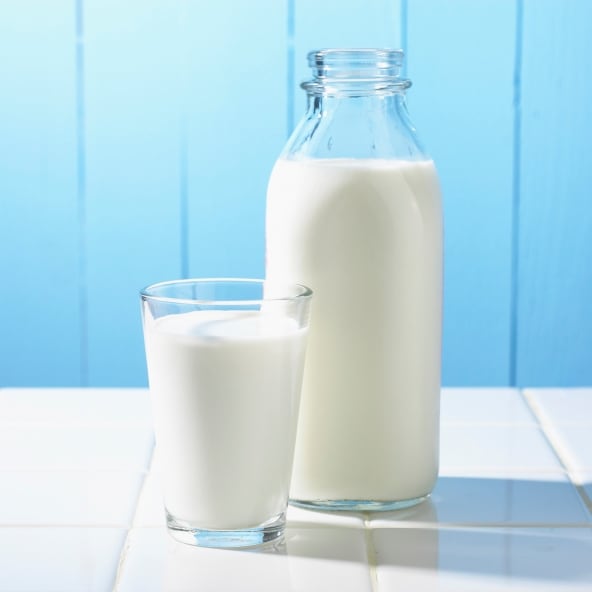 3 Best Way To Handle Milk To Keep It Safe And Hygienic