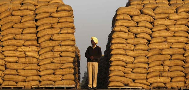 Indian Millers Sign Biggest Wheat Import Deals in Over a Decade: Report