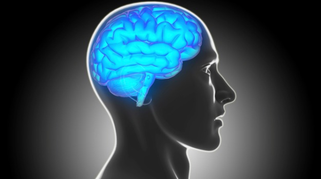 Researchers Identify Brain's 'Ouch Zone'