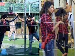 <i>Bigg Boss Halla Bol</i> Contestants Enter the 'Torture Cage' for Immunity <i>Bigg Boss Halla Bol</i> Contestants Enter the 'Torture Cage' for Immunity