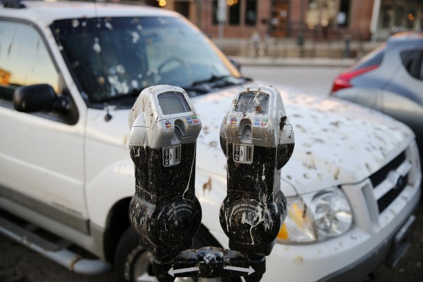 This City's Parking Meters Have Been Taken Over by Crow Droppings