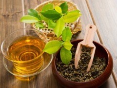 Green Tea Can Kill Cancer Cells: Study Green Tea Can Kill Cancer Cells: Study