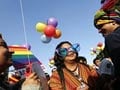Egypt Jails 14 For Homosexuality
