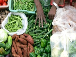 Vegetables in Delhi Become Expensive: Prices up by 50% Vegetables in Delhi Become Expensive: Prices up by 50%