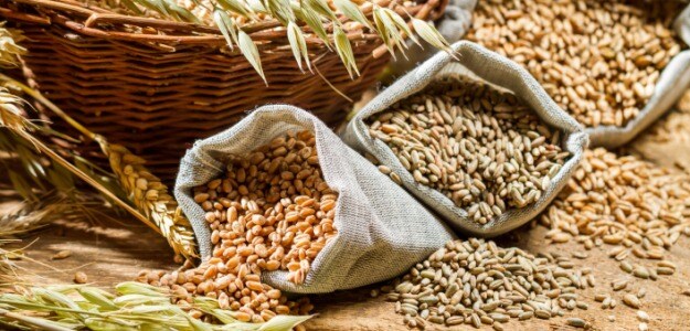 Wheat MSP Scam In Madhya Pradesh Detected, Records Fudged To Pocket Crores