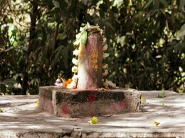 Mahashivratri 2015: Why is Milk So Auspicious? Mahashivratri 2015: Why is Milk So Auspicious?