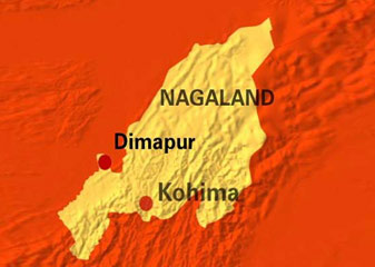 दीमापुर में सेना का 'चीता' हेलीकॉप्टर दुर्घटनाग्रस्त, कोई हताहत नहीं