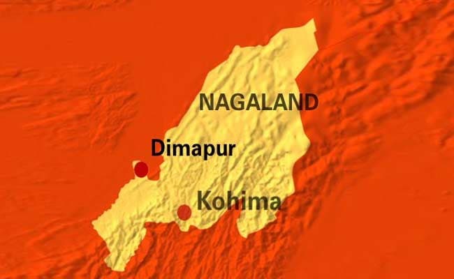 Army's Cheetah Helicopter Crashes in Dimapur, None Injured
