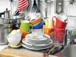 Children Suffering from Allergies? It Could be Your Dishwasher's Fault Children Suffering from Allergies? It Could be Your Dishwasher's Fault