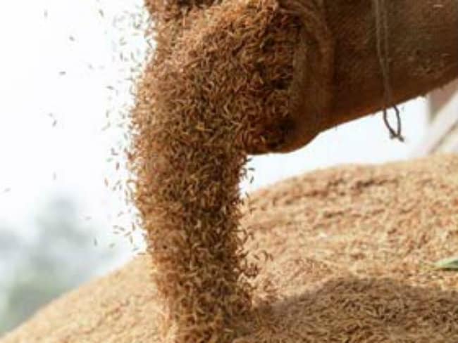 Food Act Beneficiaries to Get Ration From October 11: Jharkhand Minister