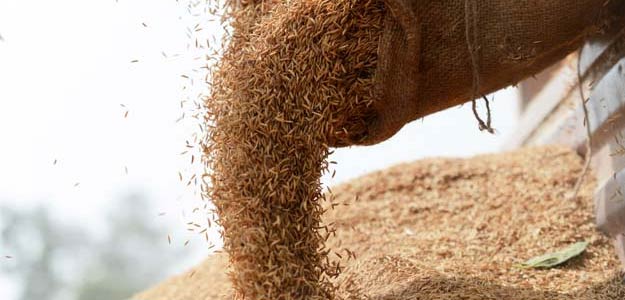 कोरोना महामारी के बीच सरकारी राशन की कालाबाज़ारी करने वाला दुकानदार गिरफ्तार