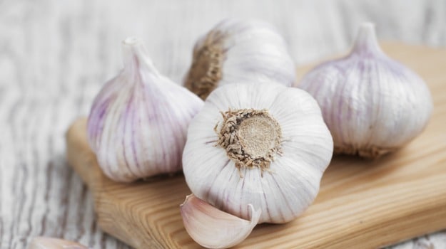 garlic