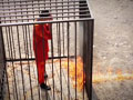 आईएस आतंकियों ने जॉर्डन के पायलट को जलाकर मारने का दावा किया