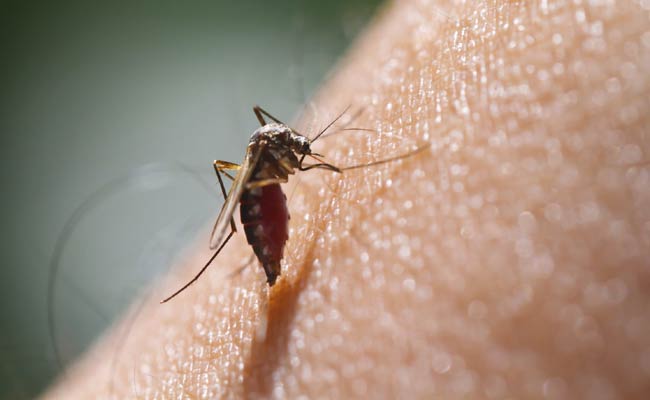 Over 32,000 People Suffered From Malaria In Chhattisgarh In 2016: Government