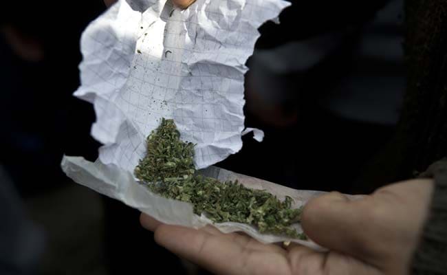 400 Kilograms of Marijuana Seized in Delhi